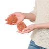 Redecker Real Copper Pot Scrubbers – Double-Layer Copper Scouring Pads