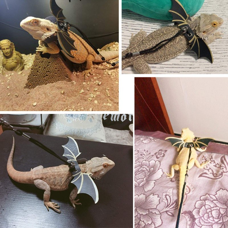 Adjustable Lizard Leash, 3 Sizes Reptile Leather Harness Bearded Dragon