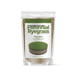 Old Cobblers Farm™ Wicked Tuff Turf Tri Rye Perennial Ryegrass Blend - Premium Cool-Season Lawn Seed for Fast Germination and Durable, Lush Turf (5 lbs | 10 lbs | 15 lbs | 20 lbs) (10lbs)