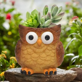 LynsaTac Cute Owl Resin Planter with Drain Cute Succulent Planter Live Indoor/Outdoor Planter for Home Potting Gifts (Straight)