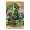 Oracle Card Divination Field Guide To The Garden Dragons