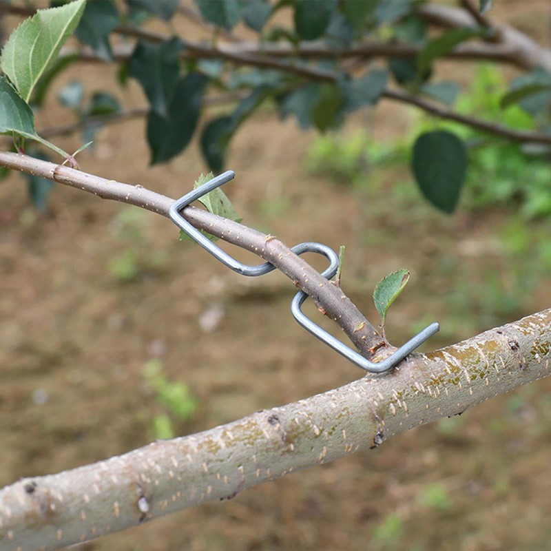 YYTECH Branch Puller Branch Separator for Fruit Trees, Pack of
