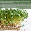 luperasol 1 Roll 10" X 236"Microgreen Grow Mat, Hydroponic Grow