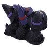 Nemesis Now Three Wise Black Cats See No Hear No