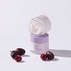 Dr. Schracle Vegan Active Berry Lifting Cream 75g / 닥터슈라클