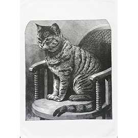 Half a Donkey The Retro Style Cat on a Chair- Large Cotton Tea Towel