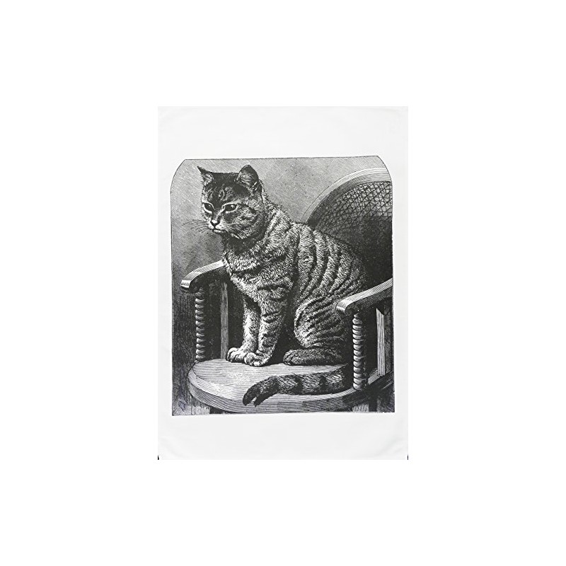 Half a Donkey The Retro Style Cat on a Chair-