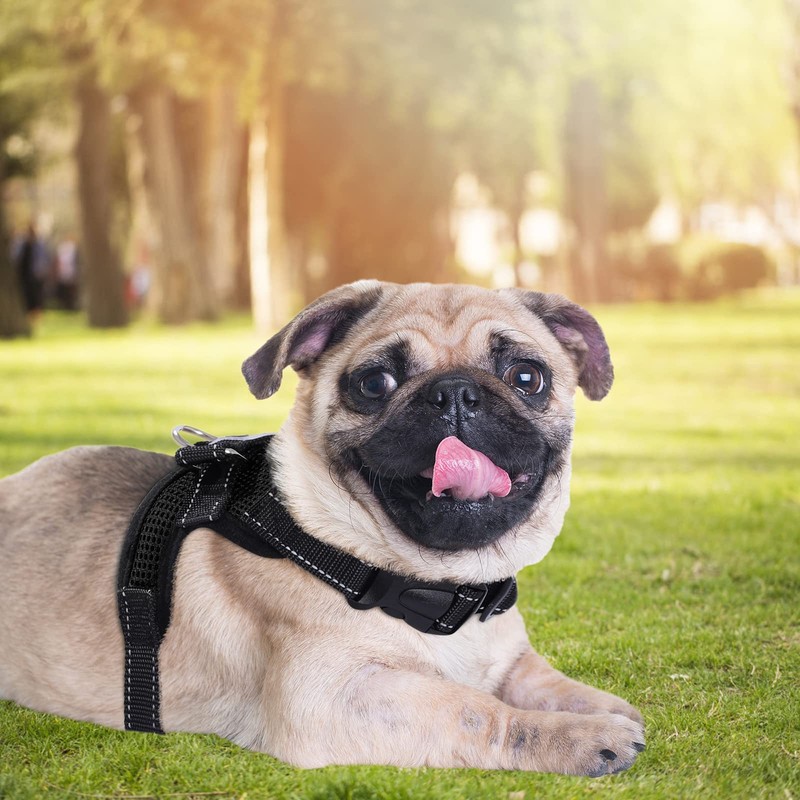 Dog Harness Adjustable No Pull Puppy Vest Harness Mesh Breathable