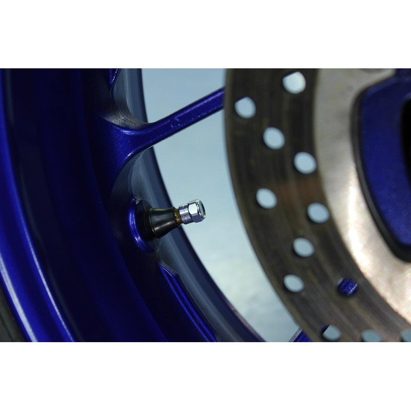 POSH 001800-03 Motorcycle Supplies, Full Billet Air Valve Cap, Short