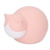 Cat Hot Water Bottle Silicone Cute Water Injection Mini Portable