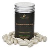 Noomadic Dihydromyricetin (DHM), 60 Capsules | 300mg Each, Also Known