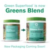 Amazing Grass Greens Blend Detox & Digest: Cleanse with Super