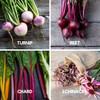 Fall Garden Heirloom Vegetable Seeds - ~3,800+ Seeds, 7 Varieties