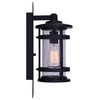 Duffy 1-Light Outdoor Wall Lantern, Black Metal Finish with Seeded