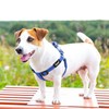 PUPTECK No Pull Dog Harness Soft Adjustable Basic Nylon Step