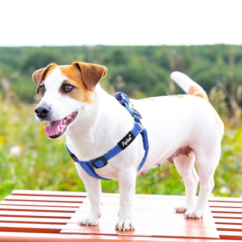 PUPTECK No Pull Dog Harness Soft Adjustable Basic Nylon Step