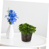 CAXUSD 6pcs Transparent Orchid Pots with Drainage Holes Clear Nursery
