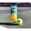 Penn Tribute Tennis Balls