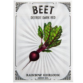 Beet Seeds for Planting | Detroit Dark Red Variety (3g Packet - Approx 160 Seeds) | Non-GMO & Heirloom Seeds | Illustrated Seed Packet with Growing Instructions by Rainbow Heirloom Seed Co.