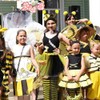 Bee Costume Adult, Women's Tulle Skirt Striped Bees, Queen Bee
