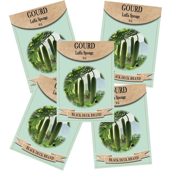 Luffa Seeds - 150 Non-GMO Heirloom Loofah Seeds (Bulk Pack)