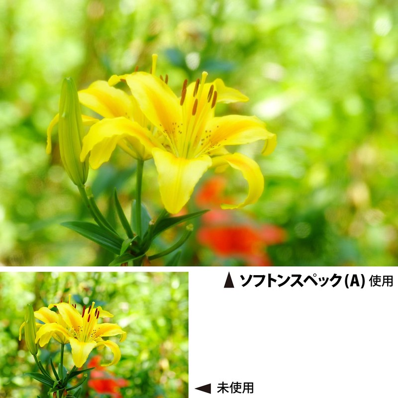 Kenko レンズフィルター ソフトン・スペック(A) 77mm ソフト描写用 377284