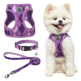 SCENEREAL Dog Harness Collar and Leash Set, Step-In No Pull Pet Vest Harnesses for Small Medium Dogs Puppy Cats, Soft Mesh No-Chock Reflective Vest Harness for Outdoor Walking Running, Purple Plaid XS