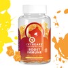 IvyBears Boost Immune Gummies | Daily Immune Support | Vitamins