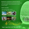 Unique Dragon Egg Digital Clock Ok to Wake Up Alarm