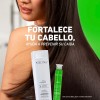 Folcress Shampoo - Fuerza y Grosor, para Hombre, Shampoo capilar