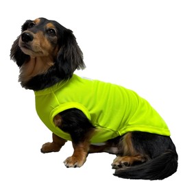 D Doggy Star Dachshund Clothes for Dogs Mini and Adults Neon T Shirts (L,Neon Yellow)