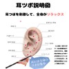 耳ツボスティック フェイスポインター ツボ押し棒 ポスポス ぽすぽ 耳ツボ押し 小顔 ツボ刺激 軽量コンパクト (#人間月)