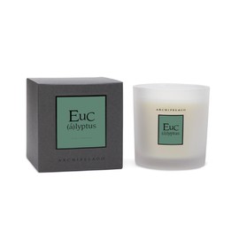 Archipelago Botanicals Hand-Poured Soy Wax Blend Scented Candle with Fragrance Oils, Lead-Free Cotton Wicks, Glass Candle Jar with Gift Box, Burns Approx. 60 Hours, Eucalyptus, 10 Oz.