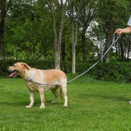 Kidding Pets Waterproof Dog Leash with Poop Bag Holder, 5FT/6FT Adjustable Length with 2 Swivel Hooks, Odor-Free & Easy-Clean Dog Lead for Large Medium Small Dogs