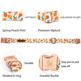 Elegant little tail Easter Dog Collar, Peach Print Dog Collar Pet Collar Orange Collar Girl or Boy Dog Collar Puppy Pet Gift Adjustable Dog Collar for Small Dogs