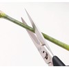Kai KAI Seki Magoroku Flower Cutting Shears, Black, Approx. Width