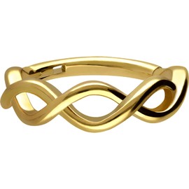 PIERCINGLINE Segment Ring Clicker Surgical Steel Double Twisted Piercing Ear Helix Nose Septum Choice of Colours and Sizes, Stainless Steel