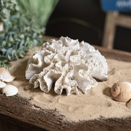 Artificial Coral Round 20 x 9 cm White Sea Decoration Mediterranean Table Decoration Maritime Coral