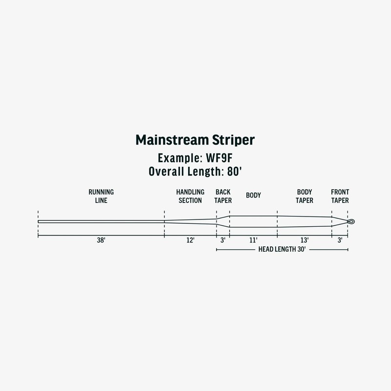 RIO Products Mainstream Striper, Fly Fishing Line for Striped Bass,