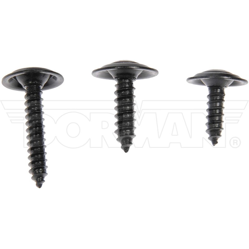 DORMAN Trim Screw Assortment