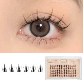 CLEAREYELASH Partial False Eyelashes, Large Capacity, 60 pcs, Korea, Natural, 3D Dimensional, Matsueku Self (E03 Rich)
