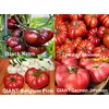 This is A Mix 30 Rainbow Deluxe Tomato Seeds Mix
