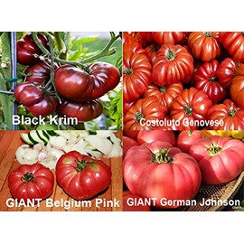 This is A Mix 30 Rainbow Deluxe Tomato Seeds Mix 16 Varieties, Heirloom Non-GMO, Indeterminate, Old German, Chocolate Stripes, Ukrainian Purple, Amish Paste USA Grown Solanum lycoperscium