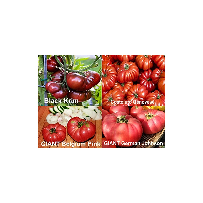 This is A Mix 30 Rainbow Deluxe Tomato Seeds Mix