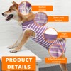 LOMSUXA Dog Bodysuit After Surgery Dog Body Operation Male Dog