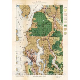Historic Map : Geologic Atlas - 1900 Plate CXXX. Seattle Quadrangle, Washington, Land Classification and Density of Standing Timber. - Vintage Wall Art - 16in x 24in