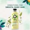 Herbal Essences Shine Collection Conditioner, 33.8 FL OZ
