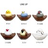 Biite Bird's Nest Rubber Band Holder (Cockatiel)
