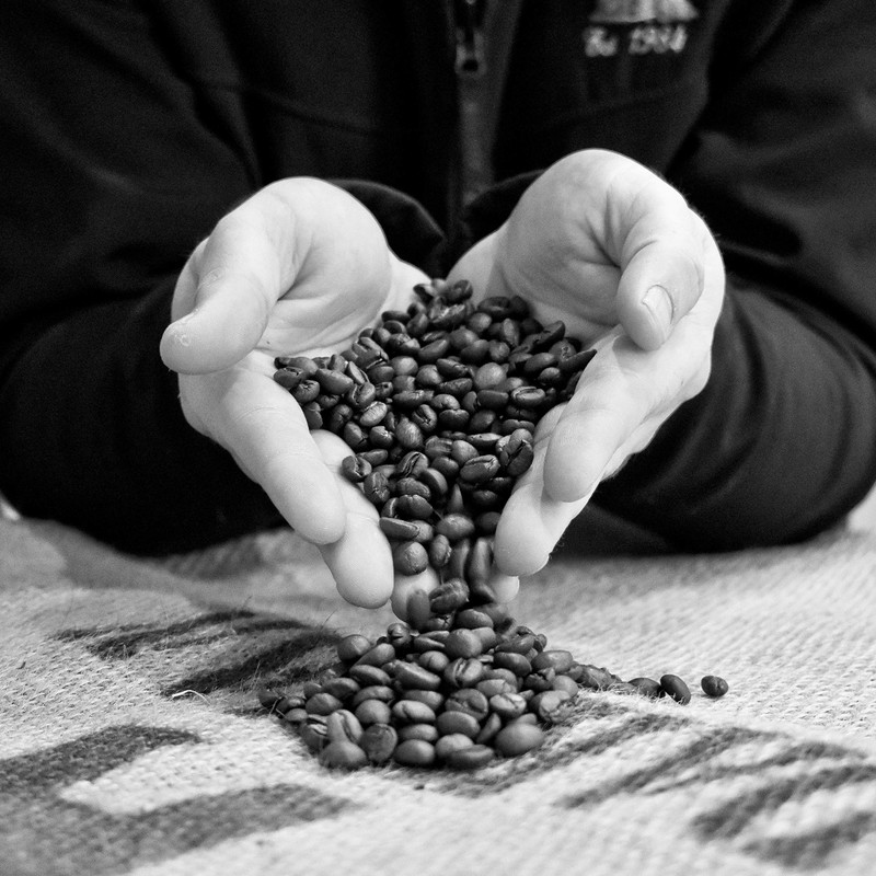Coffee World | India Single Origin UK Roasted Whole Coffee