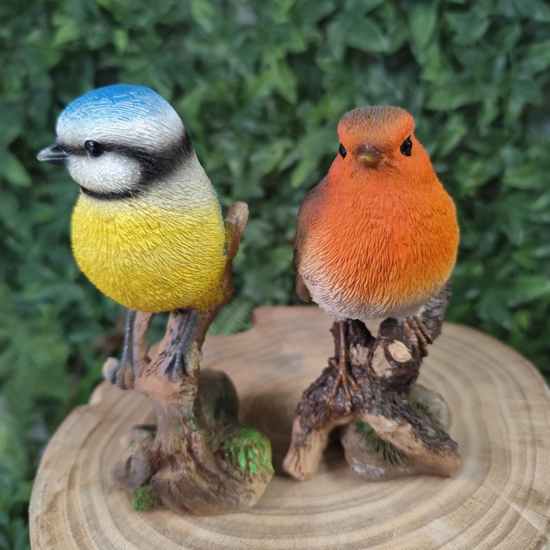 Vivid Arts - British Birds Robin & Blue Tit Home